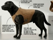 아르테오 랩 모듈러 하네스 생체역학 설계 도면 — 척추 연장선과 견갑 관절 가동 범위 기준점